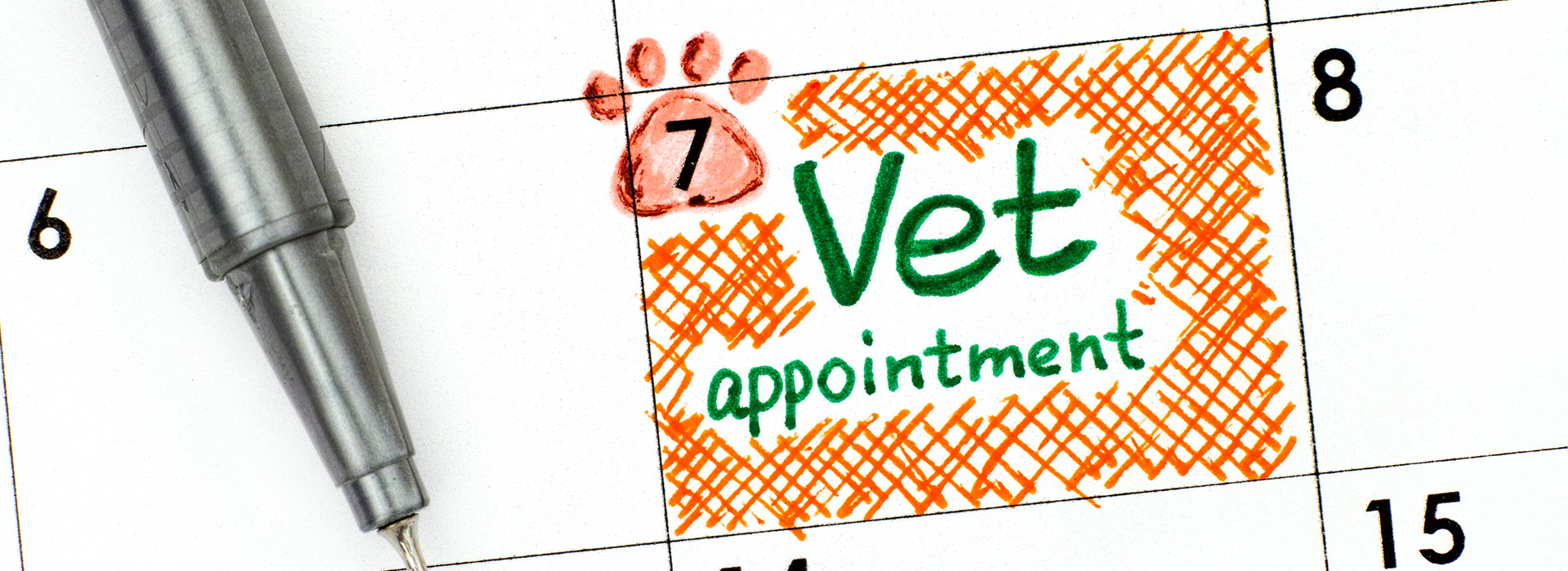 appointments
