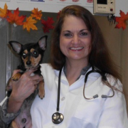 Chasewood Animal Hospital in Jupiter, FL – Your Family Vet